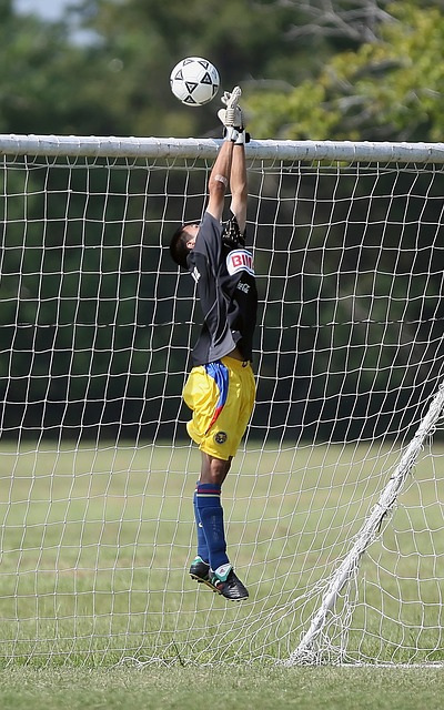 对球迷和投 对球迷和投